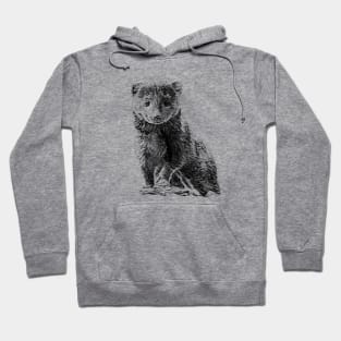 Dwarf mongoose Hoodie